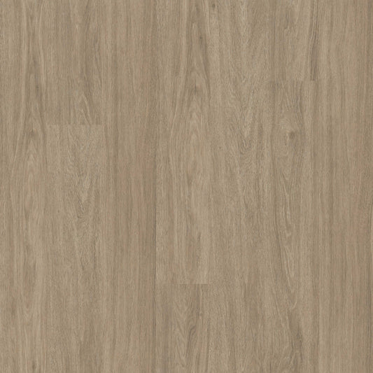 MSI - Wilmont Collection - Bleached Elm - 7" x 48"