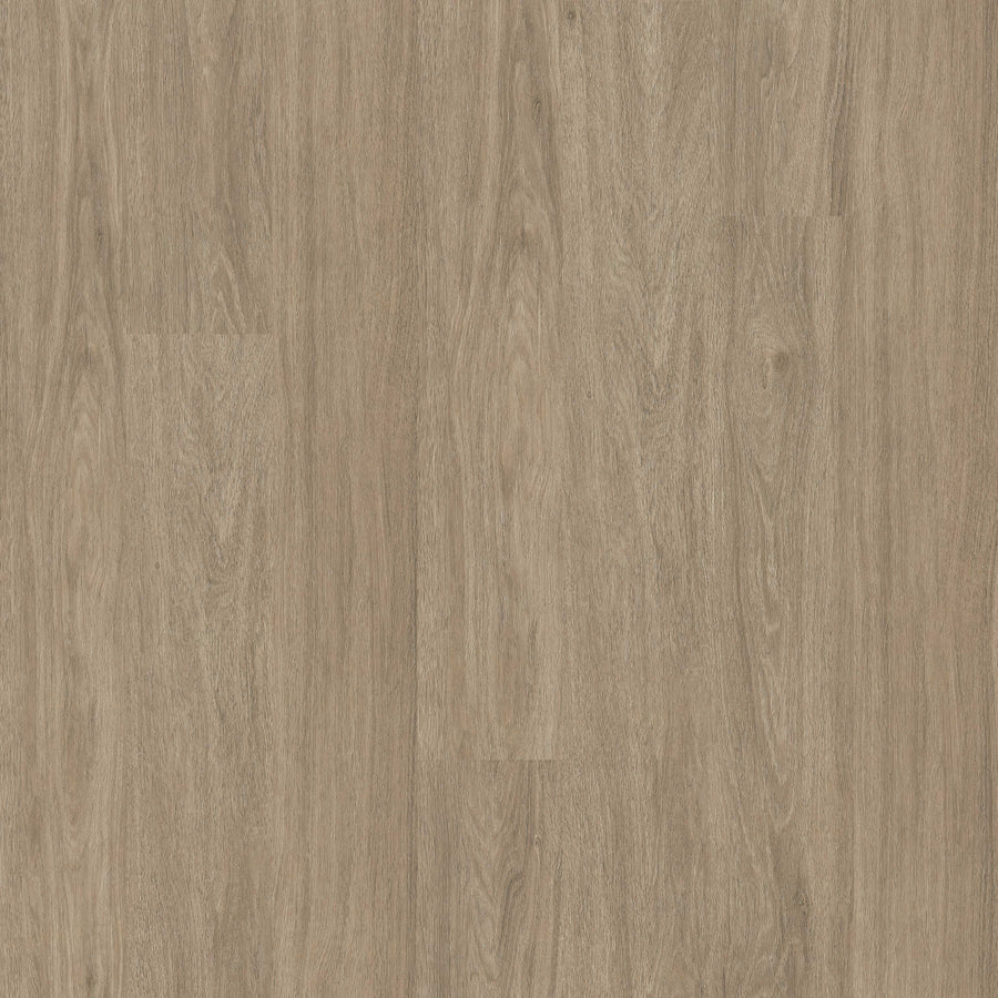 MSI - Wilmont Collection - Bleached Elm - 7" x 48"