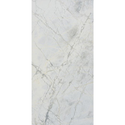OLYMPIA TILE + STONE - Everlast Series - Porcelain Tile - Bluetta - 24" x 48"
