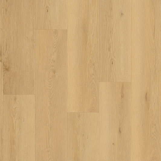 MSI - Wayne Parc™ Collection - Bluffview - 9” x 60”