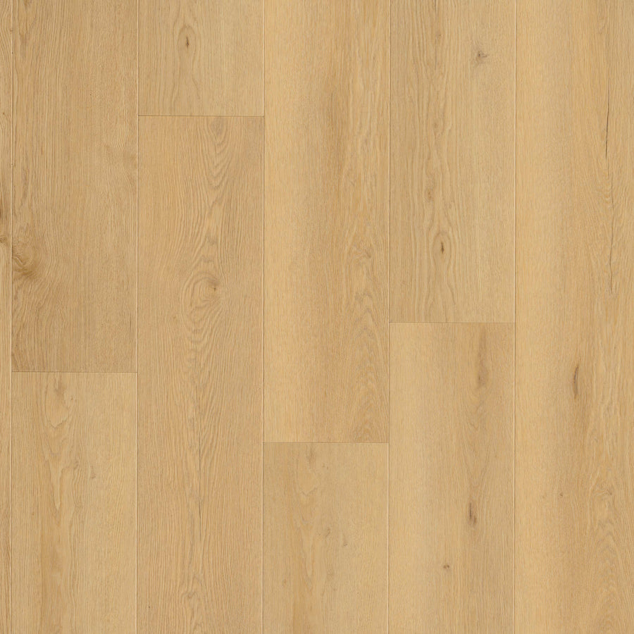 MSI - Wayne Parc™ Collection - Bluffview - 9” x 60”