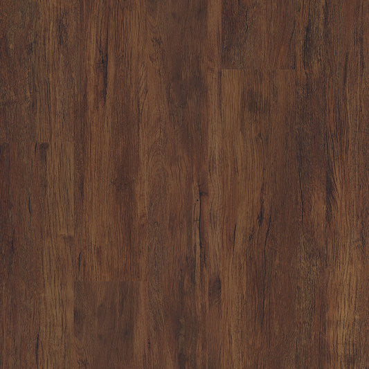 MSI Surfaces - Cyrus® 2.0TM - Braley