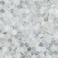 MSI - Calacatta Cressa Tile - Hexagon Mosaic Tile - 2"