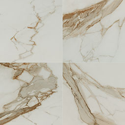 MSI - REGALLO CALACATTA MARBELLA  MATTE - Tile - 24" x 24"