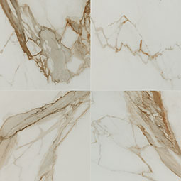 MSI - REGALLO CALACATTA MARBELLA  POLISHED - Tile - 24" x 24"