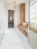 MSI - Glenridge Series - Calacatta Serra - 12" x 24"