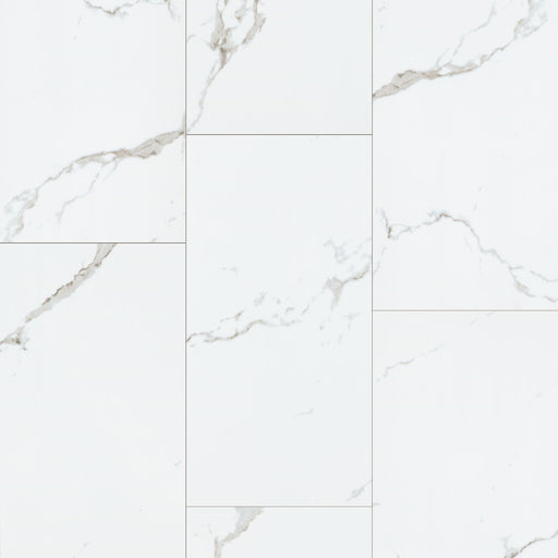 MSI - Glenridge Series - Calacatta Serra - 12" x 24"