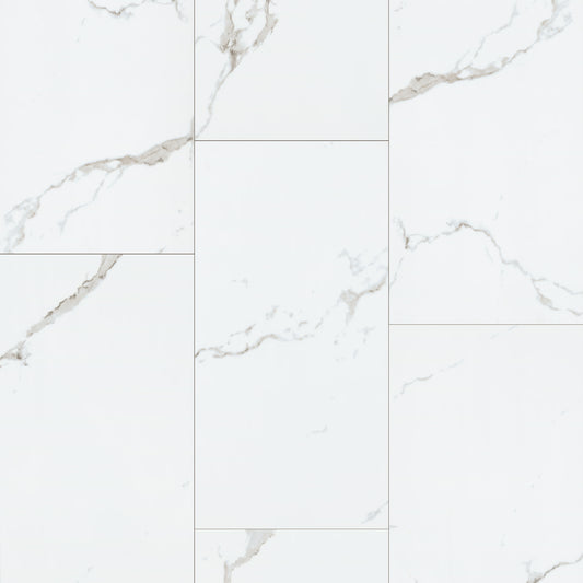 MSI - Glenridge Series - Calacatta Serra - 12" x 24"