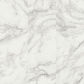 MSI Surfaces - XL Trecento® Collection - Calacatta Venosa Gold