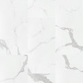MSI Surfaces -  Trecento® Collection - Calacatta Marbello
