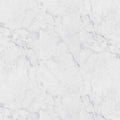 MSI Surfaces - XL Trecento® Collection - Carrara Avell