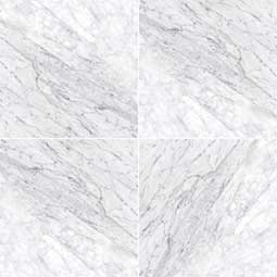 MSI - CARRARA WHITE (C) - Tile - 12" x 12"
