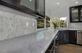 MSI - Carrara White 1X2 Herringbone Honed - Tile - 1" x 2"
