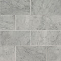 MSI - CARRARA WHITE  POLISHED - Tile - 6" x 12"