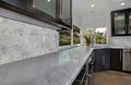 MSI - CARRARA WHITE  POLISHED - Tile - 4" x 12"