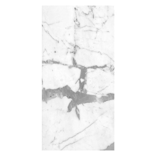 OLYMPIA TILE + STONE - 3D - Tile - D Carrara Arabescato - 12" x 24"