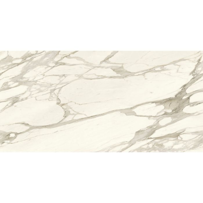 OLYMPIA TILE + STONE - Marmi Europa Series - Porcelain Tile - Calacatta Borghini - 24" x 48"