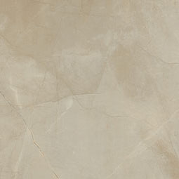 MSI - SANDE CREAM  MATTE - Tile - 48" x 48"