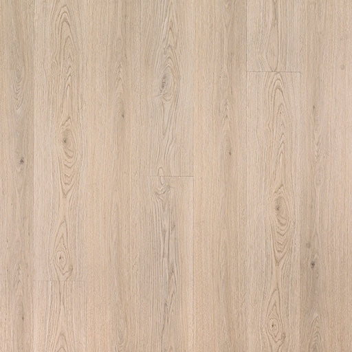 MSI Surfaces - Cyrus® 2.0TM - Austell Grove