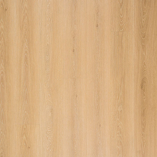 MSI Surfaces - Cyrus® 2.0TM - Valleyview Grove