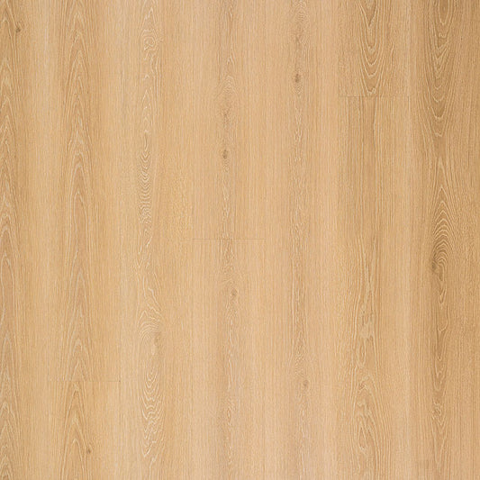 MSI Surfaces - Cyrus® 2.0TM - Valleyview Grove