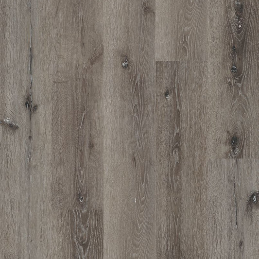 MSI Surfaces - Prescott® Collection - Ludlow