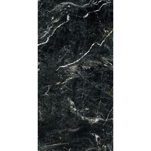OLYMPIA TILE + STONE - Rhapsody Series - Porcelain Tile - Dark Wave - 24" x 48"