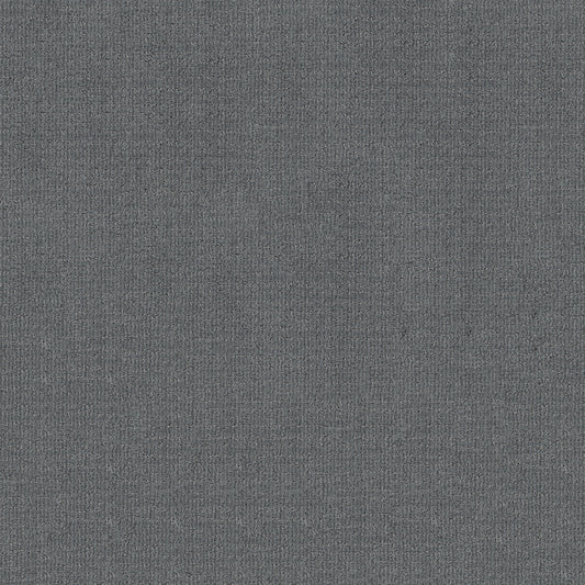 Shaw Floors - Carpet - Classics Collection - Sensible Now - 12' - Blue Steel