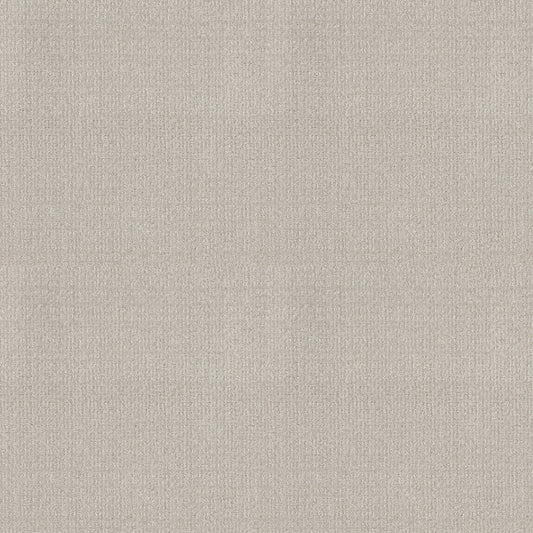 Shaw Floors - Carpet - Classics Collection - Sensible Now - 12' - Rock Crystal