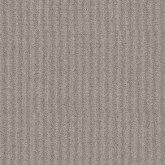 Shaw Floors - Carpet - Classics Collection - Sensible Now - 12' - Etched Glass