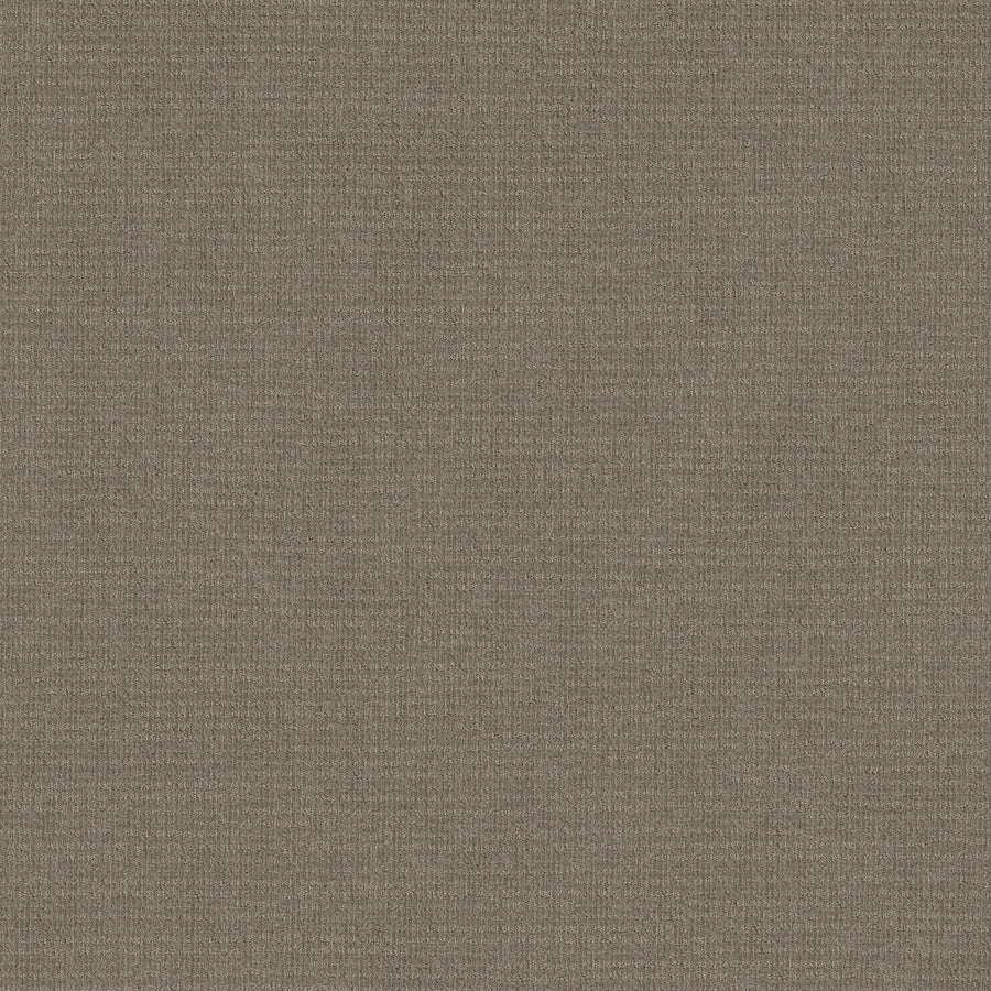 Shaw Floors - Carpet - Classics Collection - Sensible Now - 12' - Abbey Stone