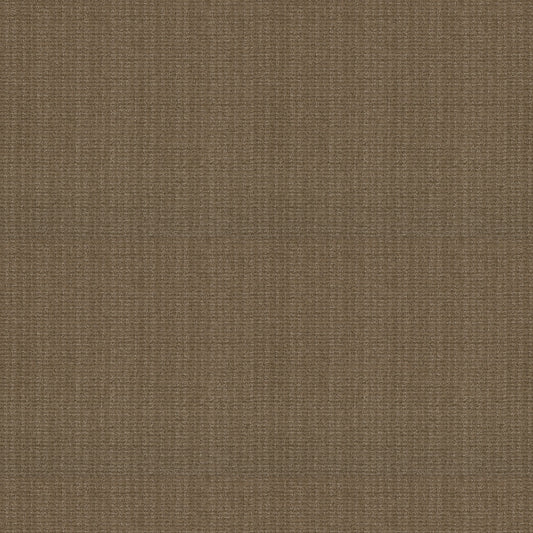 Shaw Floors - Carpet - Classics Collection - Sensible Now - 12' - Summerville
