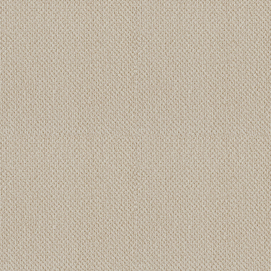 Shaw Floors - Carpet - Classics Collection - Smart Thinking - 12' - Alabaster