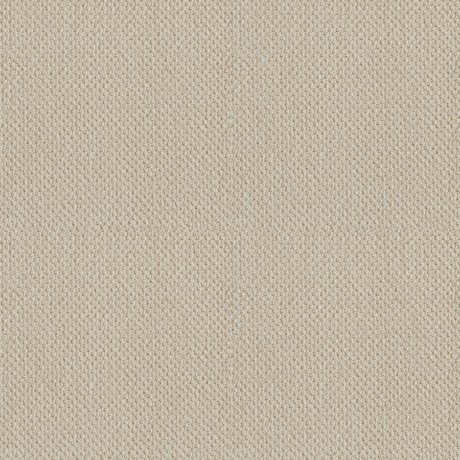 Shaw Floors - Carpet - Classics Collection - Smart Thinking - 12' - Alabaster