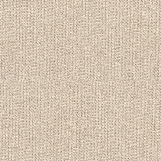 Shaw Floors - Carpet - Classics Collection - Smart Thinking - 12' - Ivory Paper