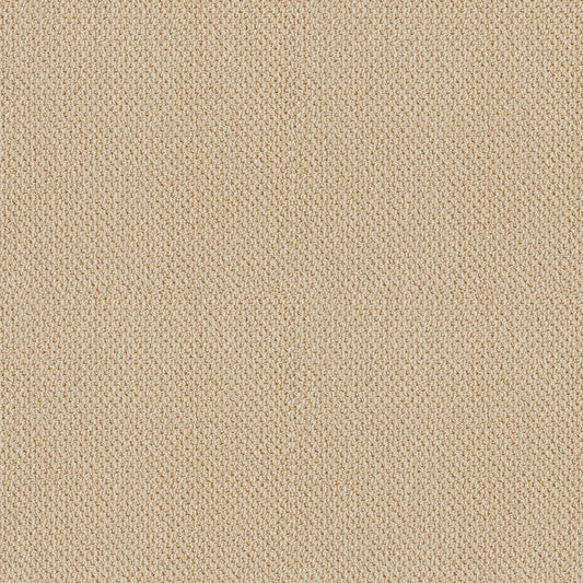 Shaw Floors - Carpet - Classics Collection - Smart Thinking - 12' - Treasure