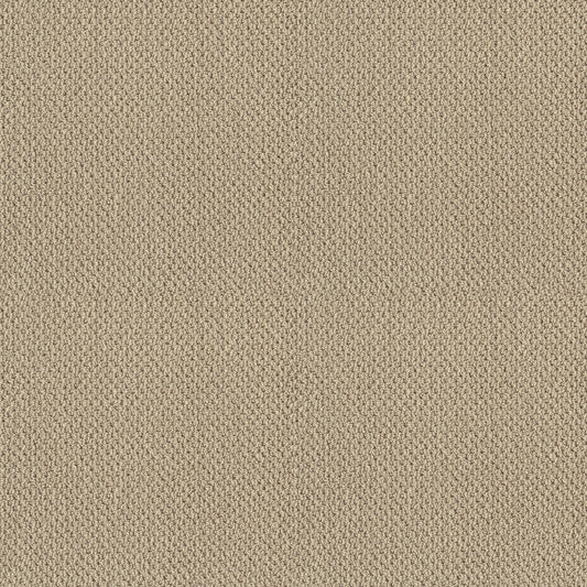 Shaw Floors - Carpet - Classics Collection - Smart Thinking - 12' - Shoreline