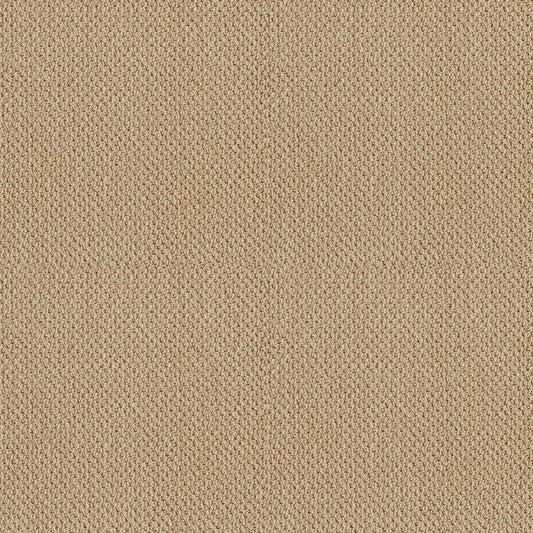 Shaw Floors - Carpet - Classics Collection - Smart Thinking - 12' - Golden Rule