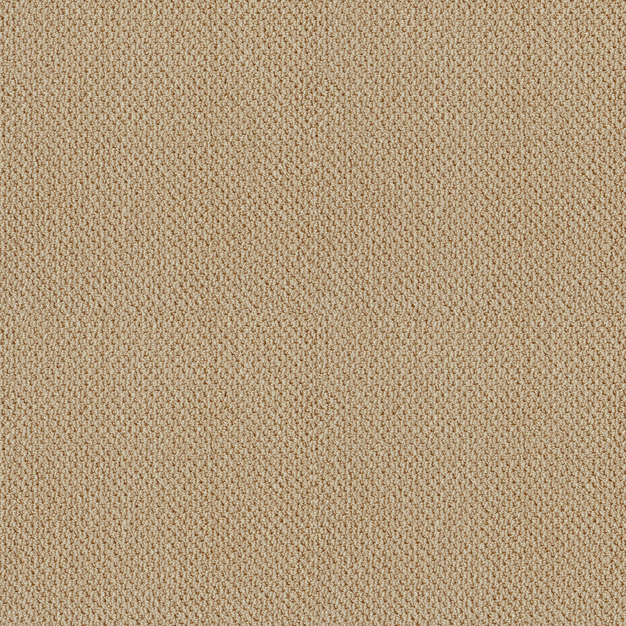 Shaw Floors - Carpet - Classics Collection - Smart Thinking - 12' - Golden Rule