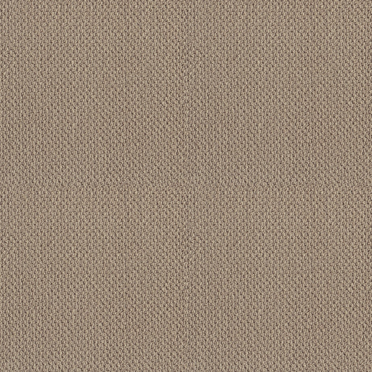 Shaw Floors - Carpet - Classics Collection - Smart Thinking - 12' - Espresso