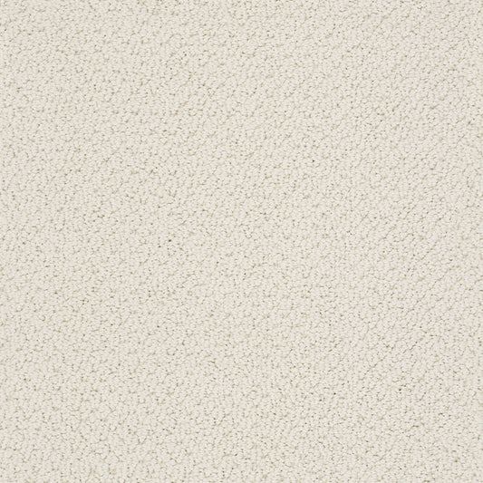 Shaw Floors - Carpet - Classics Collection - Smart Thinking - 12' - Parchment