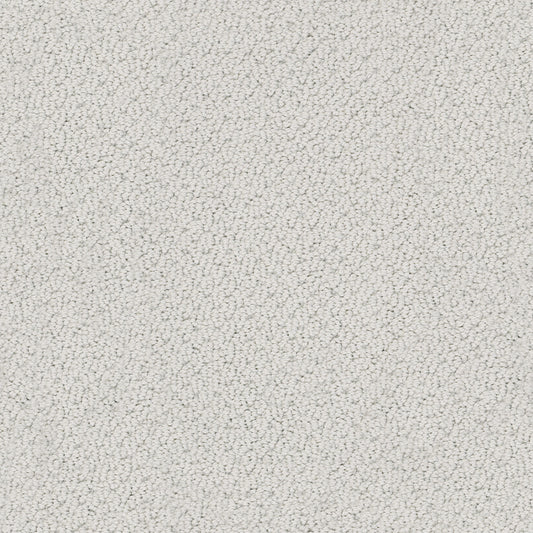 Shaw Floors - Carpet - Classics Collection - Smart Thinking - 12' - Silver Charm