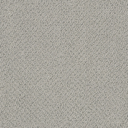 Shaw Floors - Carpet - Classics Collection - Smart Thinking - 12' - Grey Stone
