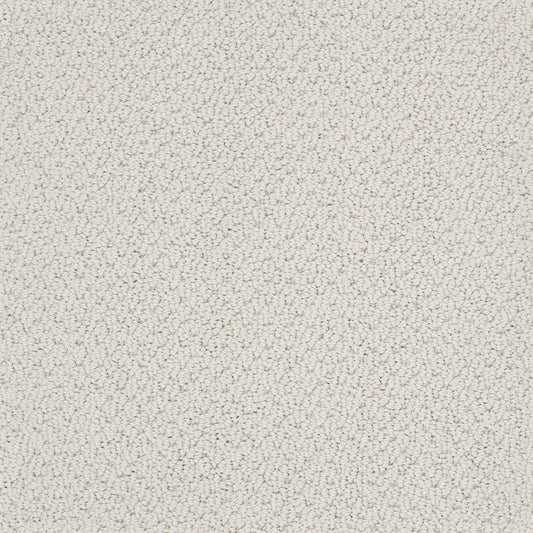 Shaw Floors - Carpet - Classics Collection - Smart Thinking - 12' - Morning Mist