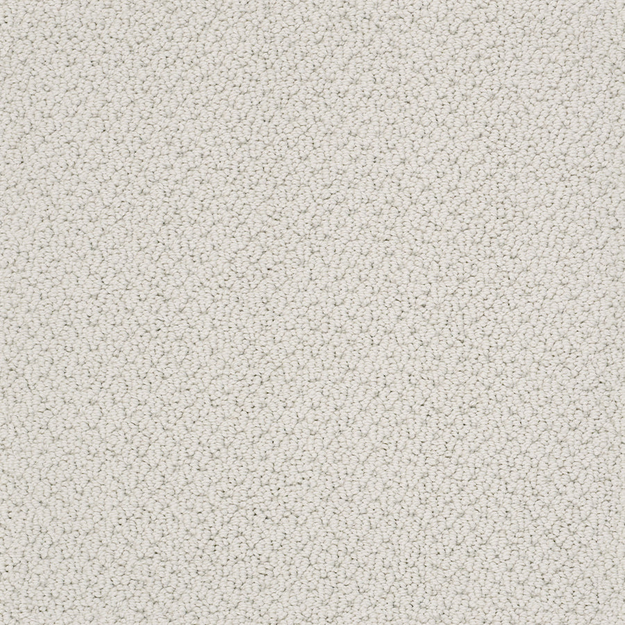 Shaw Floors - Carpet - Classics Collection - Smart Thinking - 12' - Morning Mist