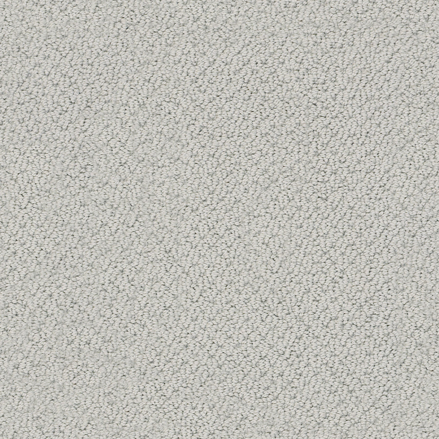 Shaw Floors - Carpet - Classics Collection - Smart Thinking - 12' - Cloudy Day