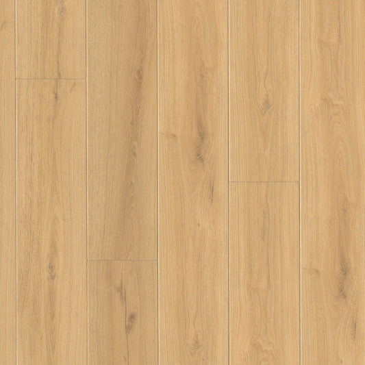 MSI - Wayne Parc™ Collection - Elwood - 9” x 60”