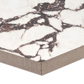 MSI - VIOLETTA  POLISHED - Tile - 24" x 48"
