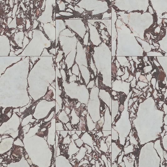 MSI - VIOLETTA  POLISHED - Tile - 24" x 48"