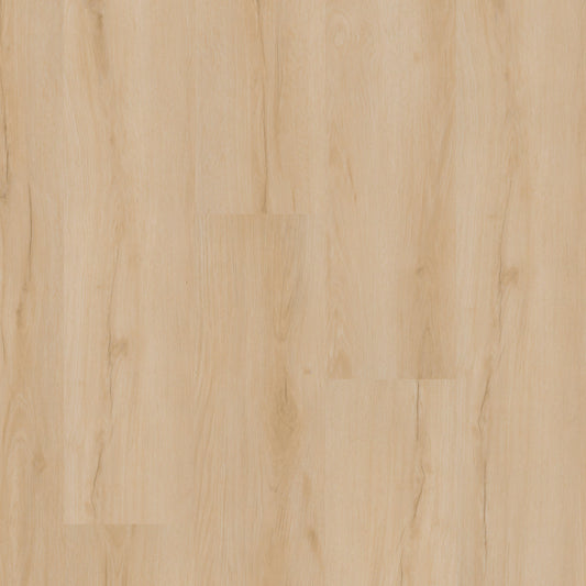 MSI - Nove Collection - Fallonton - 9" x 48"